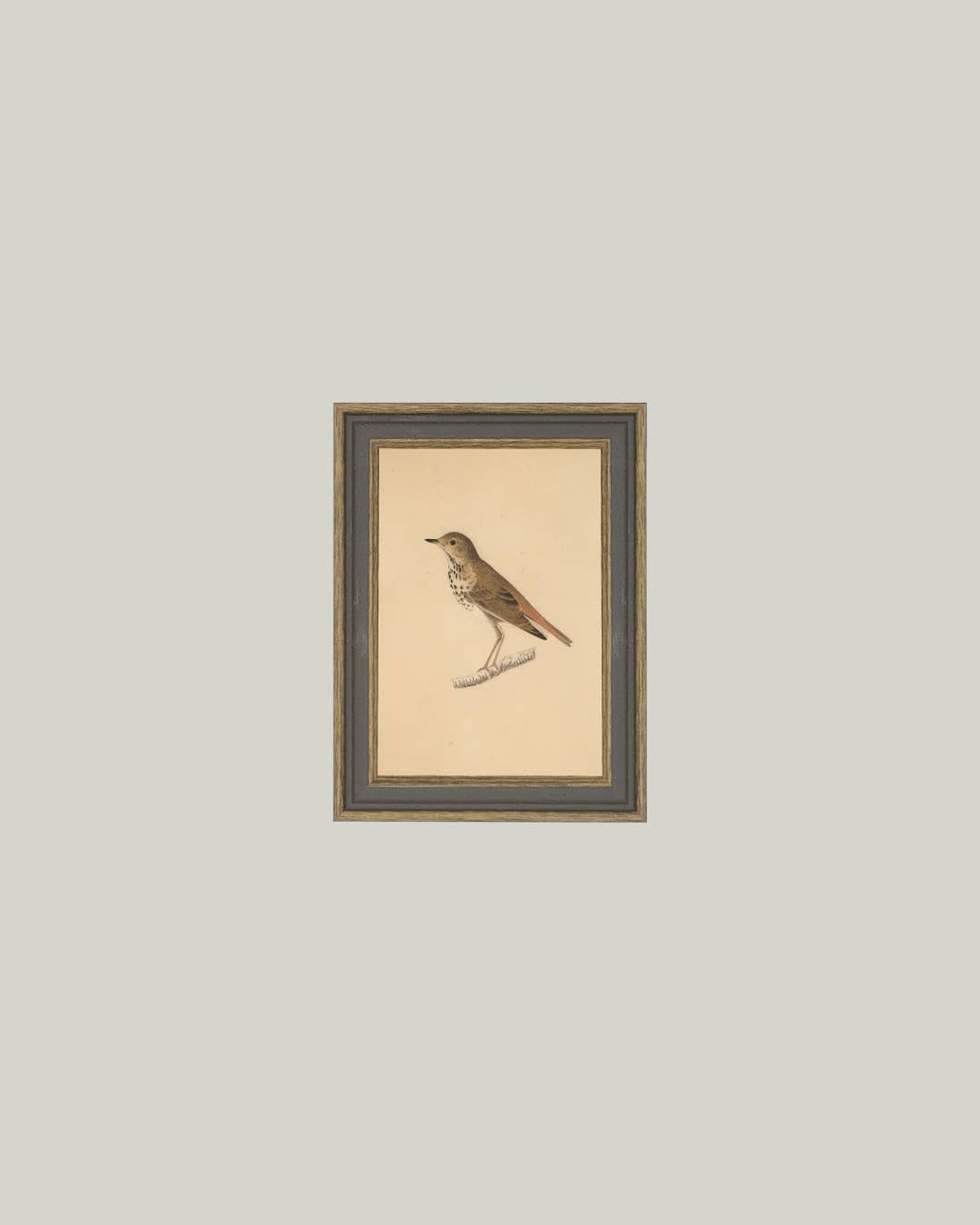 Art: 7x9 Bird Framed