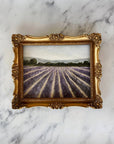 LAVENDER FIELDS - Art Print (unframed) 8 x 10