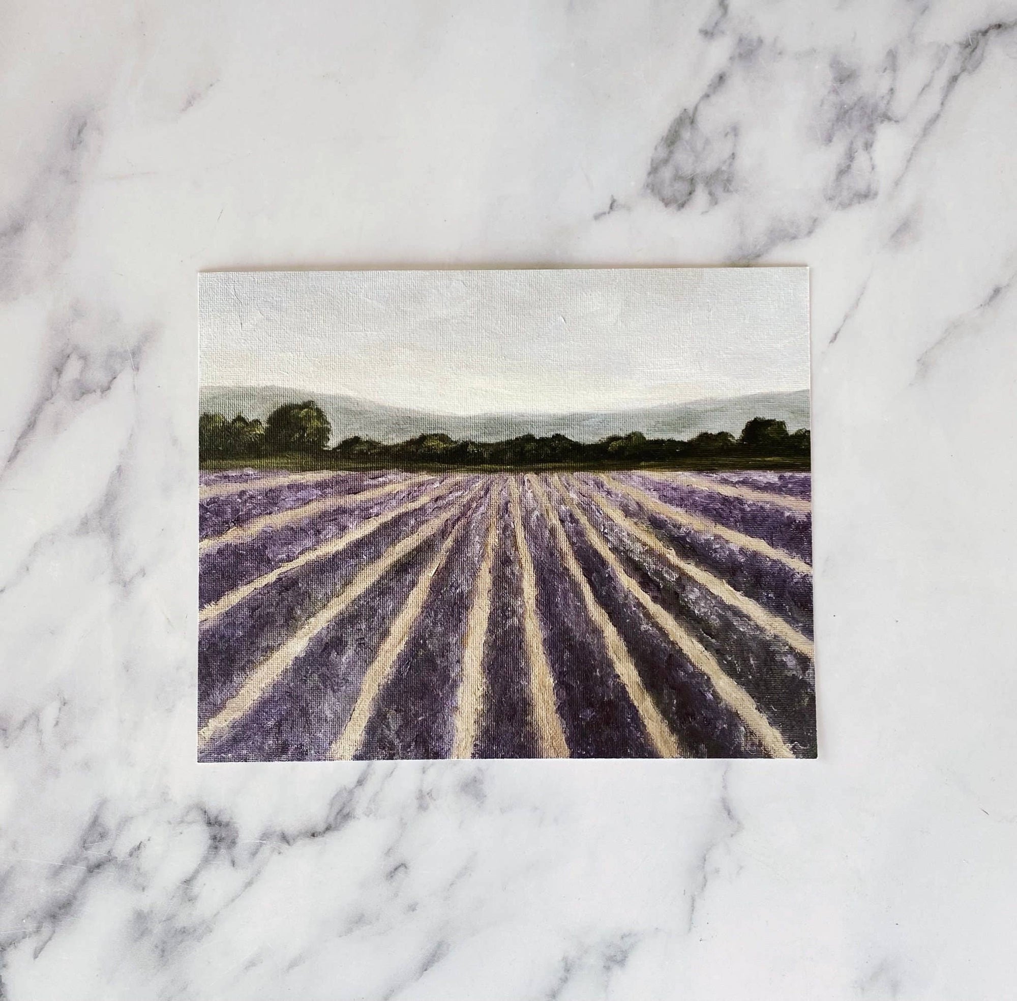 LAVENDER FIELDS - Art Print (unframed) 8 x 10