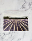 LAVENDER FIELDS - Art Print (unframed) 8 x 10