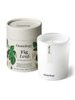 Candle: Osmology Fig 7 oz