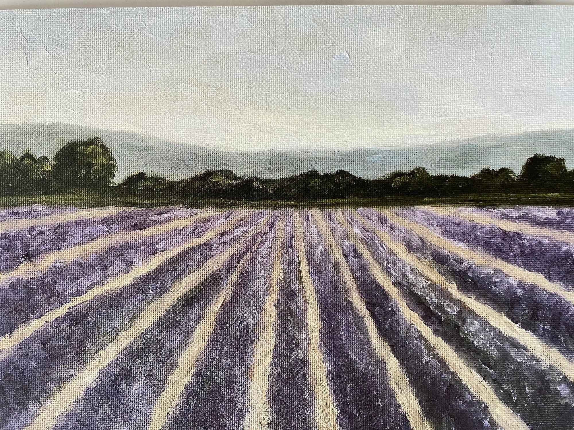LAVENDER FIELDS - Art Print (unframed) 8 x 10