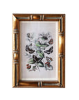 Frame: 9" x 12" Matted