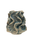 Vase: Organic Textured Stoneware