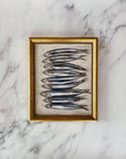 SARDINES - Art Print (unframed): 8x10"