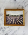 LAVENDER FIELDS - Art Print (unframed) 8 x 10