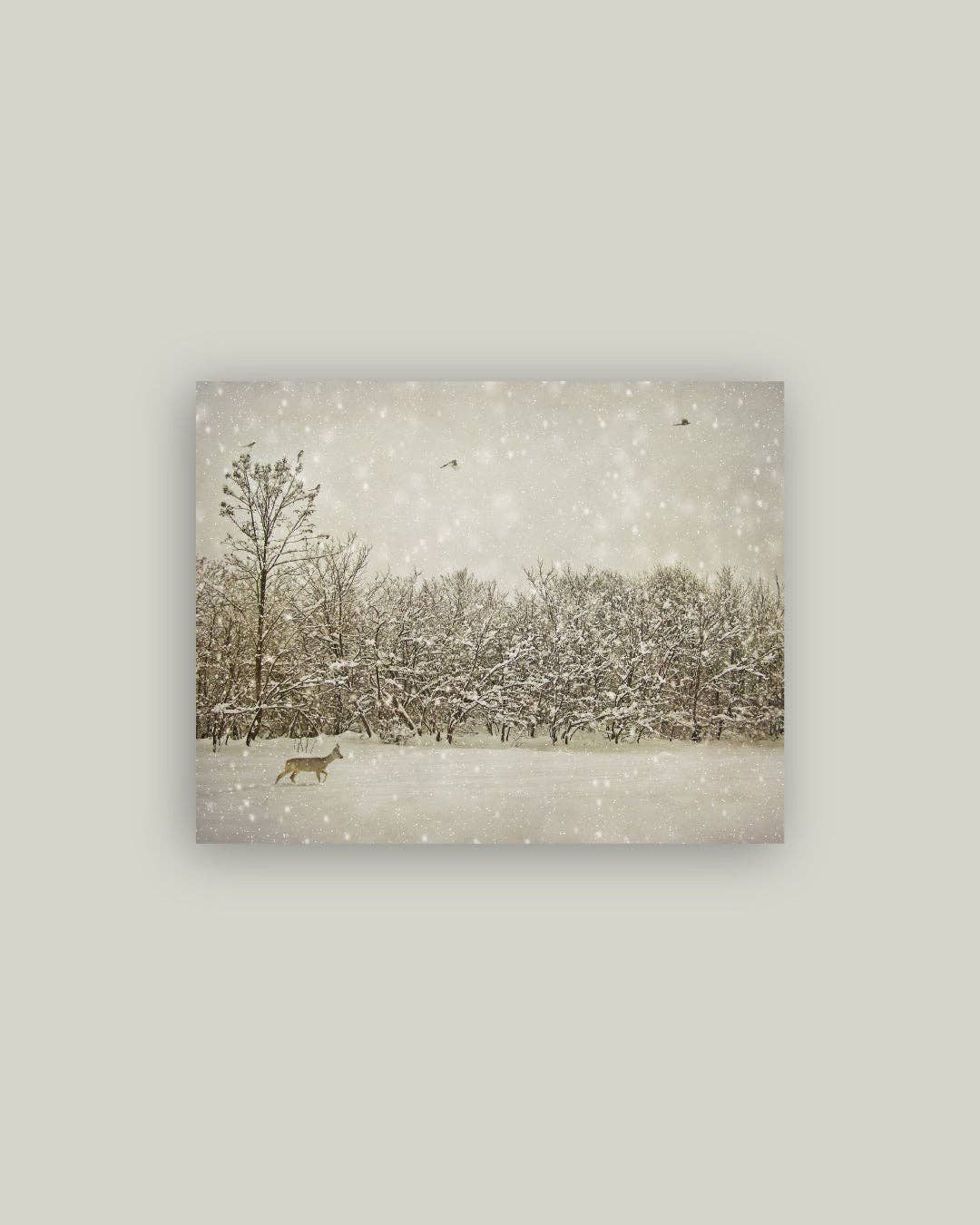 Art: Winter Fawn Artist Board