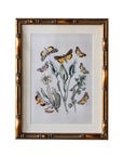 Frame: 9" x 12" Matted