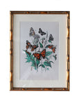 Frame: 9" x 12" Matted