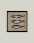 Three Blue Fish: 16x16
