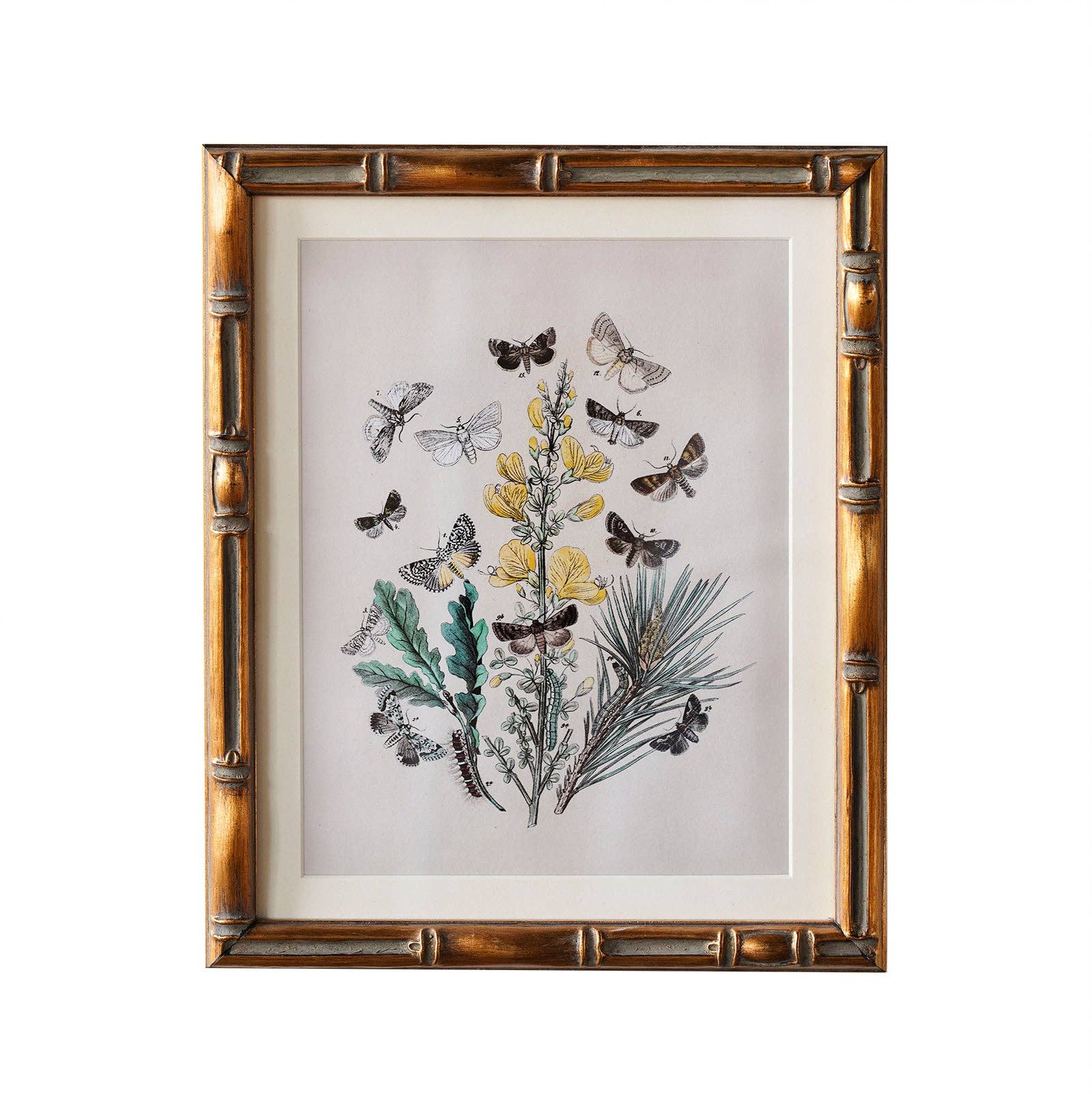 Frame: 9" x 12" Matted