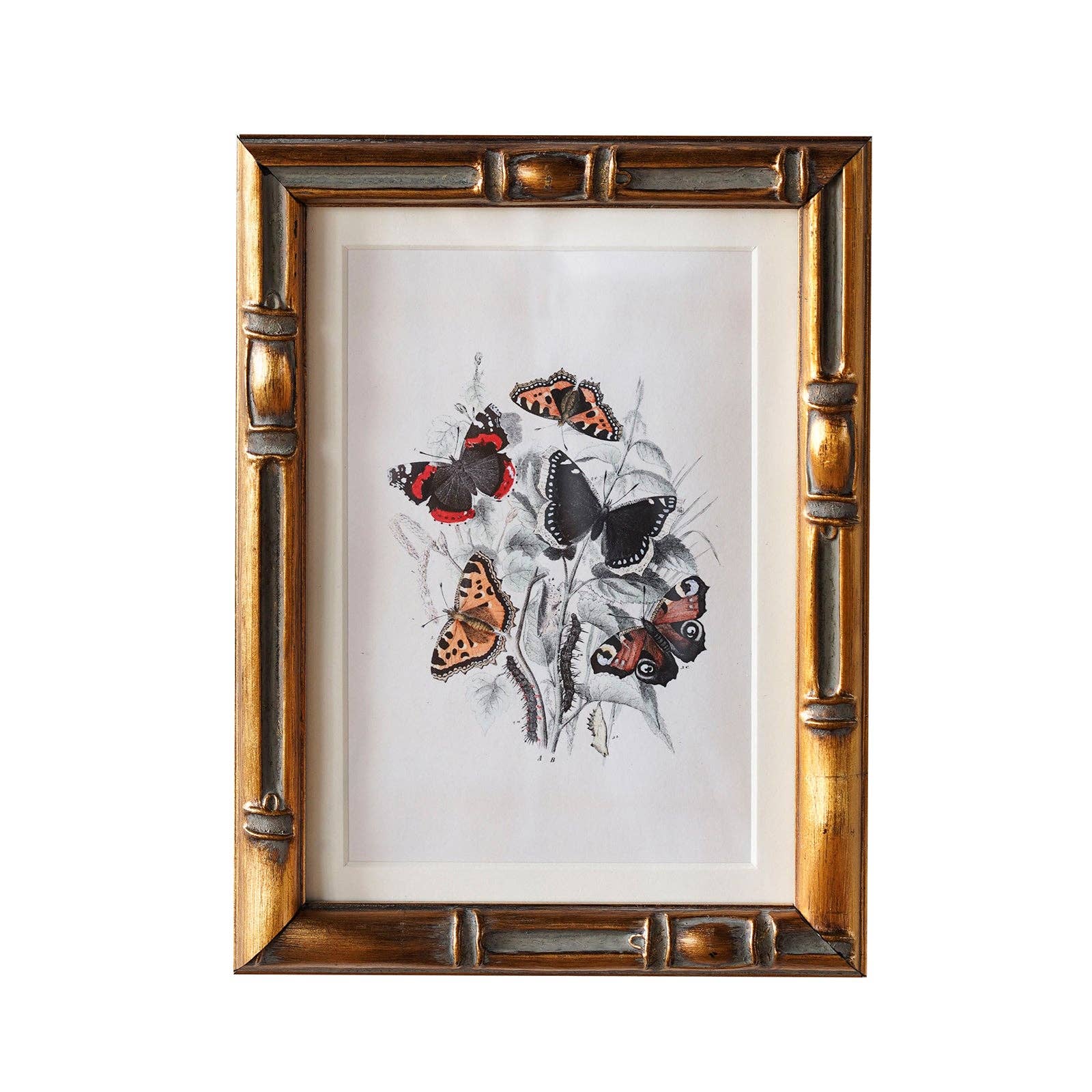 Frame: 9" x 12" Matted