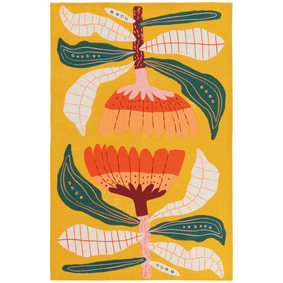 Dishtowels: Venus Set of Two