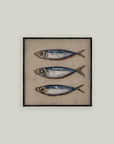 Three Blue Fish: 16x16