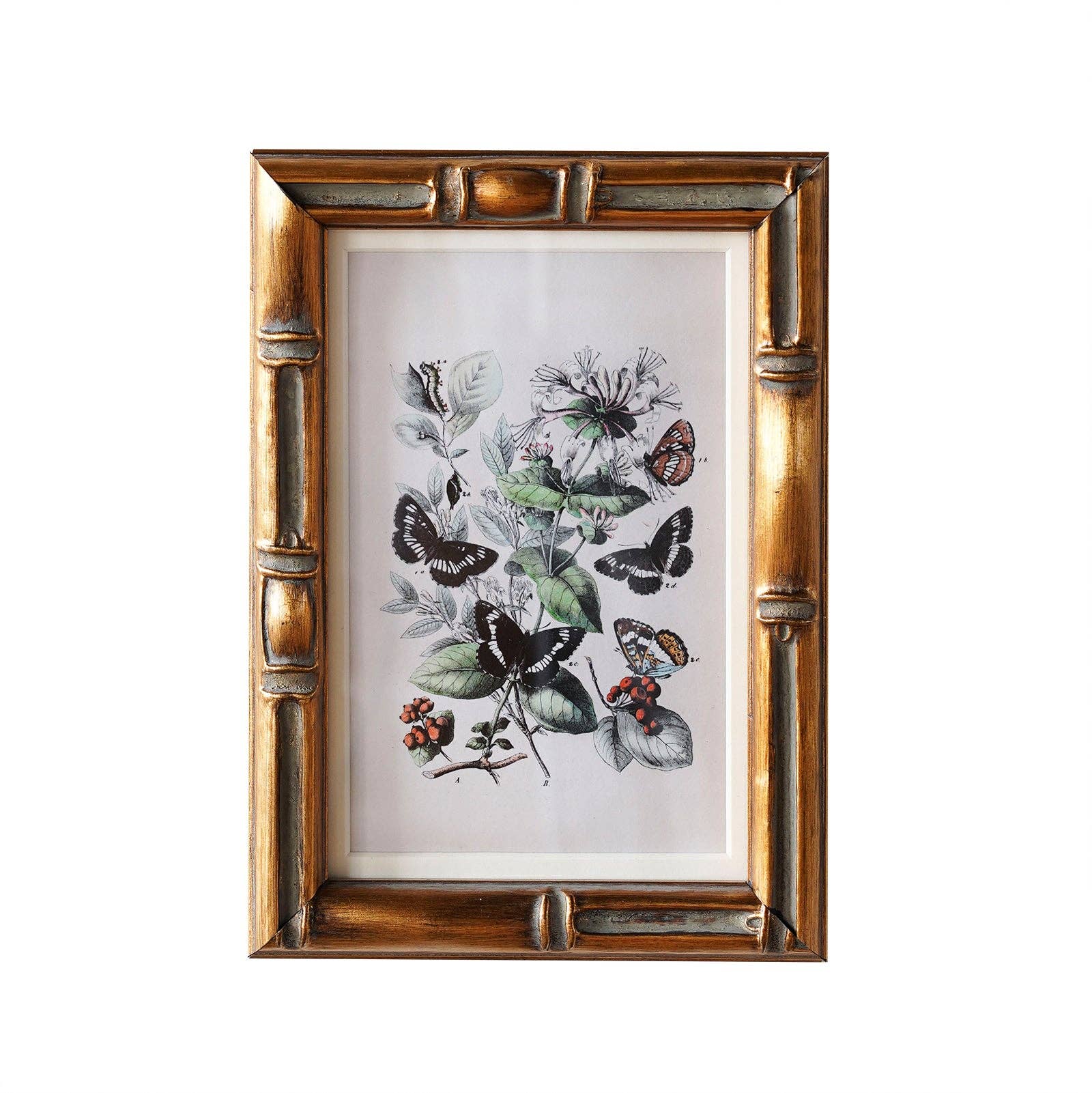 Frame: 9" x 12" Matted
