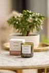 Candle: Osmology Whiskey 7 oz
