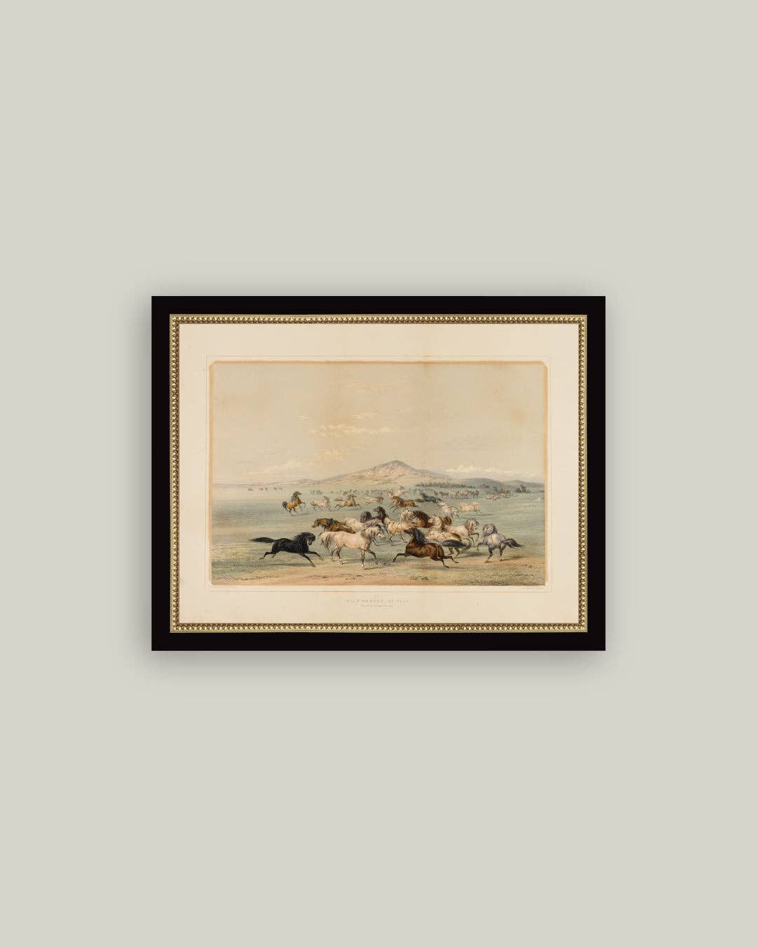 Art: Field of Horses 9x7