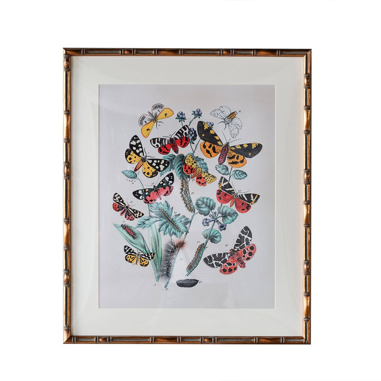 Frame: 9" x 12" Matted