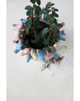 Planter: Stoneware with Birds on Rim