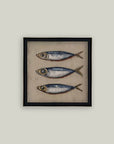 Three Blue Fish: 6x6