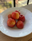 Bowl: Harvest Serving