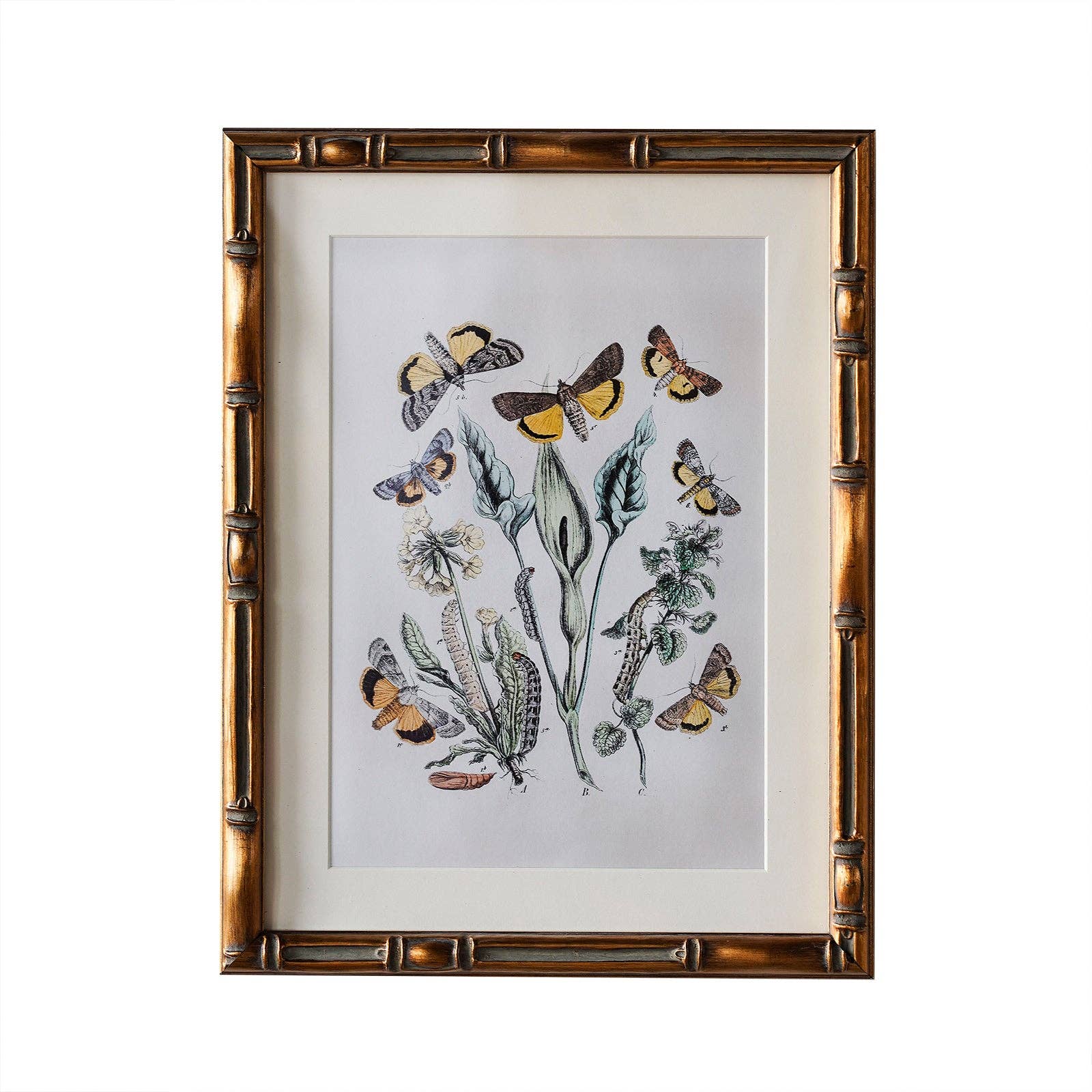 Frame: 9" x 12" Matted