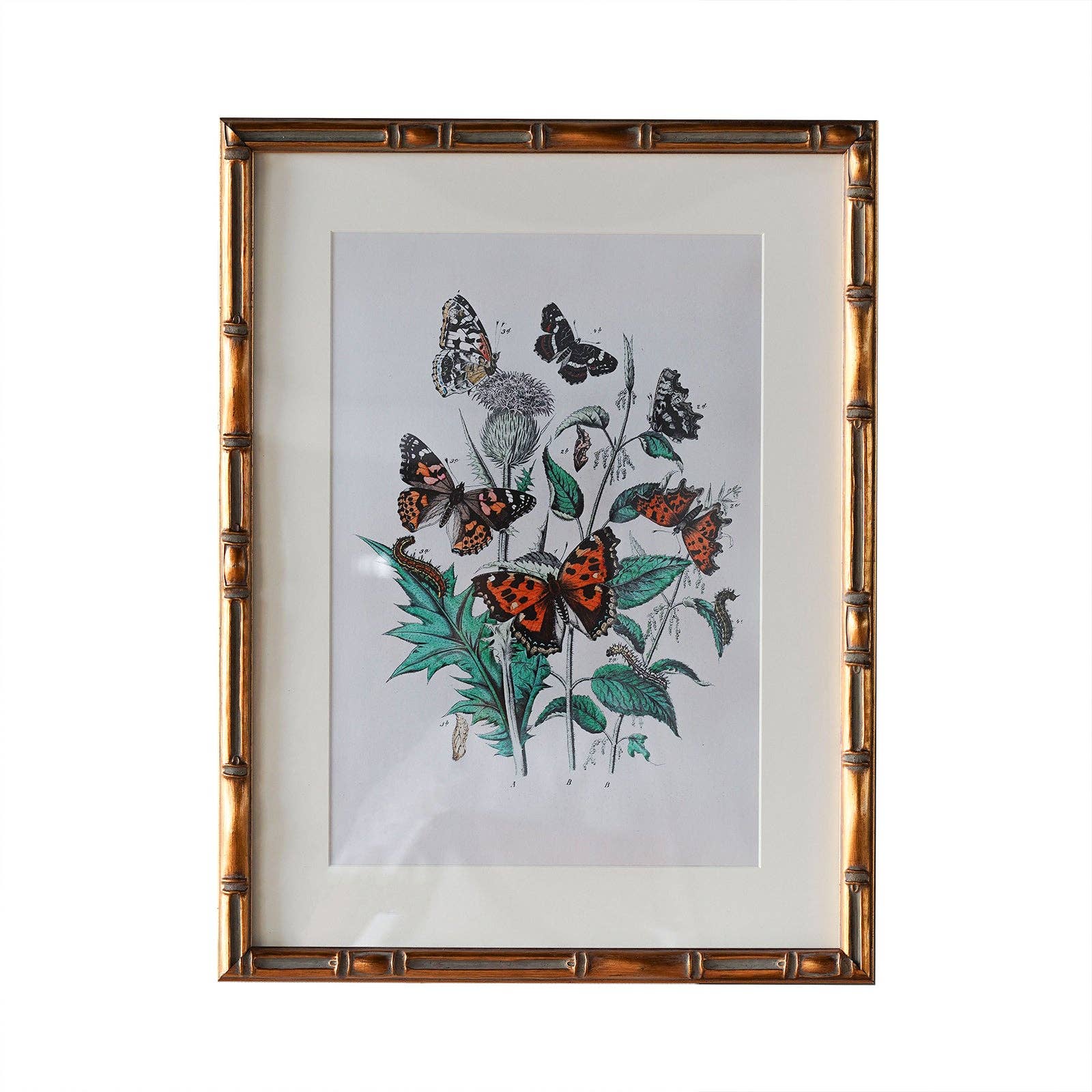Frame: 9" x 12" Matted